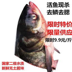 鱼头花鲢白鲢剁椒鱼头现杀新鲜大鱼头食材大头鱼鲢鳙淡水鱼胖头鱼
