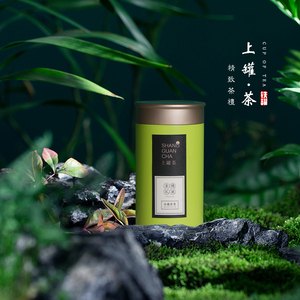 2023新款小号圆形通用茶叶罐铁罐红茶绿茶小青柑小罐茶包装盒定制