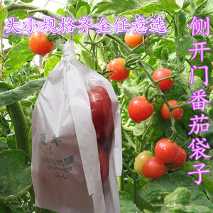 侧开西红柿套袋专用袋番茄洋柿子纸袋圣女果番柿果蔬套袋子防虫菌