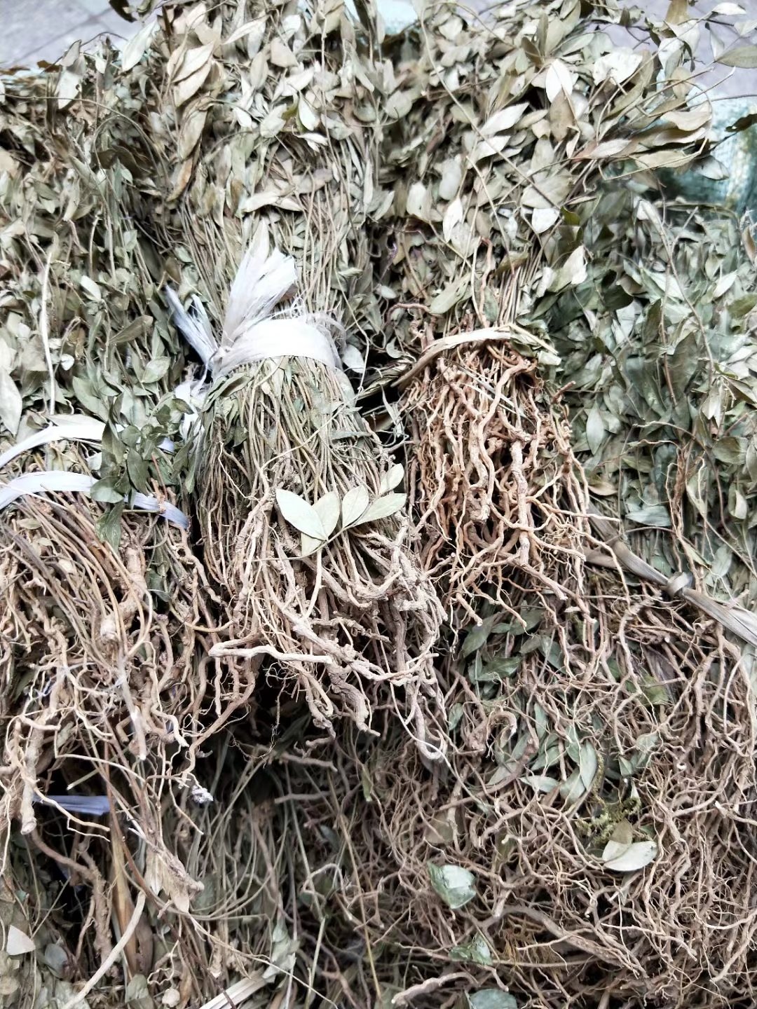 中药材瓜子金小金不换惊风草勒马回500克