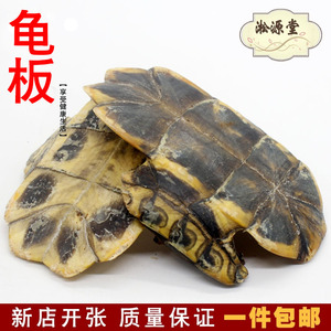 包邮 生龟板500克龟下甲龟底板要 醋制龟板 龟板粉  乌龟