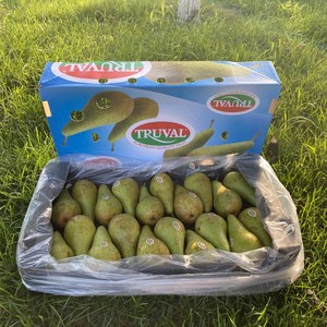 比利时Truval啤梨原箱18到26颗梨子新鲜青皮梨鲜果礼盒装都乐出品