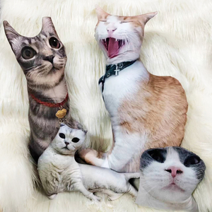 diy定制丑猫抱枕无白边异形靠垫来图订做宠物猫咪狗狗人形玩偶