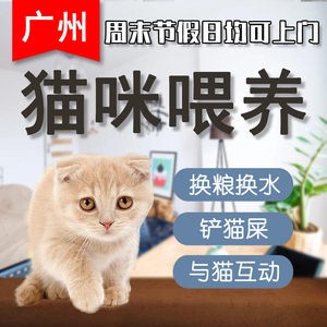 广州专业上门猫咪喂养铲屎宠物节假日周末服务寄养代替喂猫促销