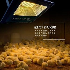 太阳能养殖保温灯养殖场养鸡场蛋鸡专用led超亮暖光照明灯节能灯