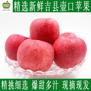 山西吉县多汁红富士苹果洛川9月现摘现发新鲜水果农产品十斤包邮