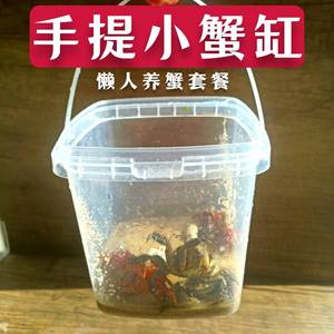 手提鱼缸相手蟹将军蟹养殖箱螳螂昆虫蛐蛐饲养盒学生宠物螃蟹盒子