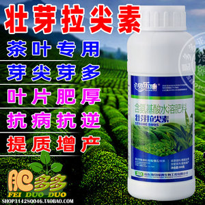 肥多多 茶叶茶树专用叶面肥 壮芽拉尖 催芽增厚增产 营养素无激素