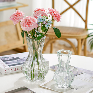 热卖大小蒜头玻璃水养花瓶器皿水培花卉精致创意客厅卧室家居摆件