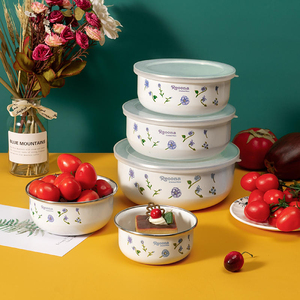 搪瓷新款植物花卉带饭碗 加厚密封碗盒套装五件套 保鲜碗汤碗带盖