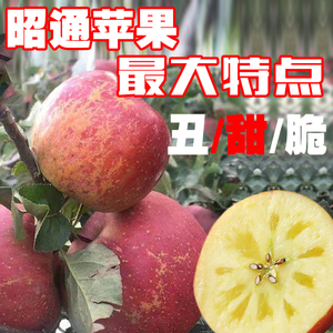 云南昭通应季现摘新鲜脆甜非野生丑苹果冰糖心红富士水果