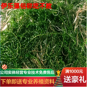 吃不败水草 吃不败水草品牌 价格 阿里巴巴 吃不败水草 吃不败水草品牌 价格 阿里巴巴