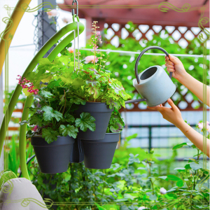 维拉园艺 星格尔组合吊盆180 家庭草莓种植盆 环球塑料花盆