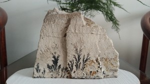 化石模树石山水