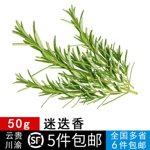 新鲜迷迭香50g匍匐迷迭香食用香草 西餐烤肉烘焙香料调料 5件免邮