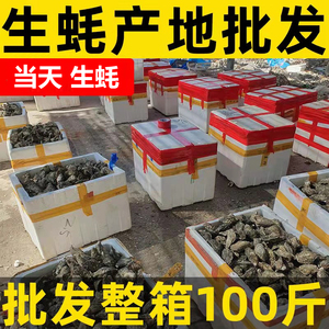 广东生蚝鲜活商用100斤特大一箱50斤全壳烧烤摆地摊乳山湛江潮州