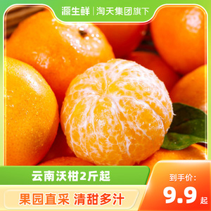 云南沃柑清甜多汁柑橘果园直采新鲜水果橘子整箱包邮