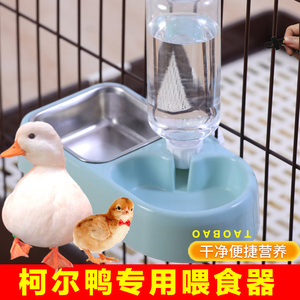 柯尔鸭喂食器自动饮水器小鸭子小鸡食盆碗饲料盒喂宠物芦丁鸡水壶