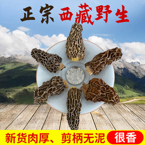 西藏纯野生羊肚菌干货2023年林芝特产非云南特级羊肚蘑菇煲汤500g