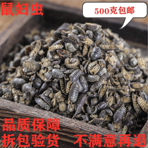 中药材鼠妇虫 鼠妇虫 地虱 湿生虫 潮虫 干货500克包邮可打粉