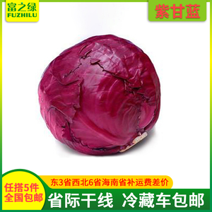 新鲜紫甘蓝500克-1000克【任搭5份包邮】 沙拉菜  紫包球甘蓝菜