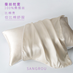 一对装真丝枕头套桑蚕丝丝绸纯真丝绸缎单人单面25姆米纯色枕芯套