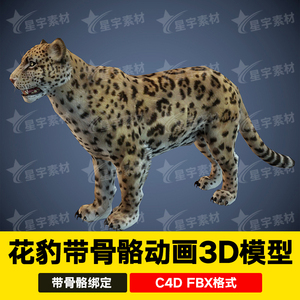 maya 3dmax c4d写实猫科动物豹子花豹带骨骼绑定动画3d游戏模型