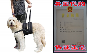 Labra Veterinarian Approved Dog Canine K9 Sling Assist with