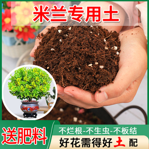 米兰专用土喜酸营养土养花盆栽椰糠泥炭腐殖基质家用椰砖营养肥土
