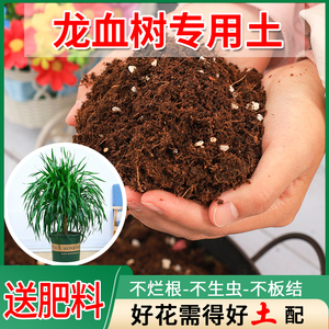 龙血树专用土养花土壤种植土通用型营养土营养肥土家用花泥盆栽