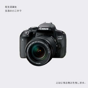 二手Canon/佳能800D600d650d750d学生入门级单反旅游高清相机