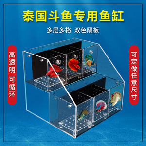 泰国斗鱼专用鱼缸亚克力桌面多格隔离繁殖排缸过滤造景生态水族箱