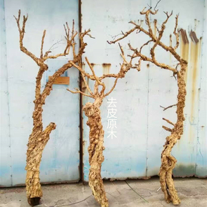 原木造型枯树漂白石榴树服装装饰树枯树干树枝白树枝去皮枯枝装饰