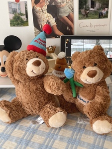 生日帽礼物熊公仔泰迪熊毛绒玩具送花小熊可爱抱枕情侣熊玩偶礼物