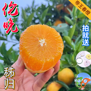 宜昌秭归伦晚脐橙10斤整箱当季现摘新鲜甜橙子果冻橙柑橘大中水果