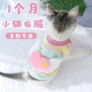 幼猫衣服2个月秋冬小猫咪冬季冬天穿的保暖超小特小3个月一个月