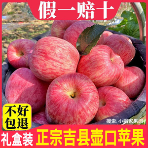 【今年新苹果】山西吉县苹果壶口苹果红富士新鲜脆甜正宗水晶水果