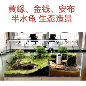 超白玻璃水陆缸 雨林缸植物造景缸 微景观斜口缸乌龟缸超白水陆缸