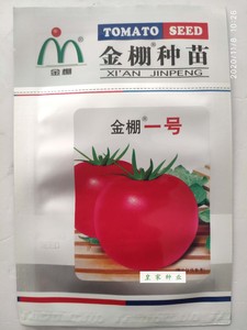 西安研究所金棚一号 金鹏1号高秧粉红硬果无限生长西红柿番茄种子