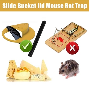 抖音Rat Trap翻盖捕鼠器室内外通用圆桶捕鼠陷阱自动重置捕鼠神器