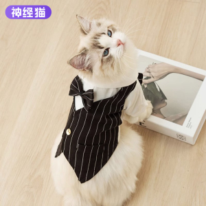 绅士领结背心小猫咪衣服春秋布偶蓝猫英短宠物出行必备衣服夏季