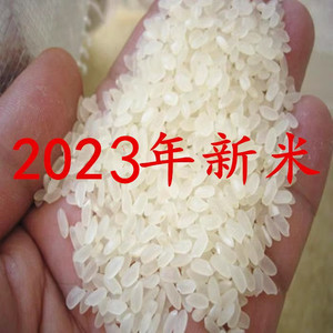 2023年新米盘锦大米10kg 蟹田大米自产 东北新大米20斤珍珠米包邮