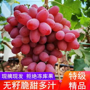 红提葡萄 新鲜水果香印葡萄提子4斤净重2000g礼盒陕西同城