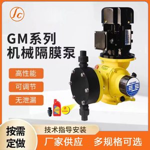 GM机械隔膜计量泵加药泵可调节泵耐酸碱耐腐蚀环保水处理大流量泵