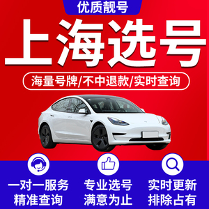 上海市沪a自编车牌选号新能源汽车数据库12123神器号码牌照