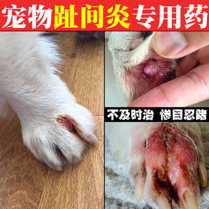 狗狗趾间炎药专用药膏治疗宠物脚趾炎猫指间炎狗指尖炎消炎膏外用 阿里巴巴找货神器 狗狗趾间炎药专用药膏治疗宠物脚趾炎猫指间炎狗指尖炎消炎膏外用 阿里巴巴找货神器
