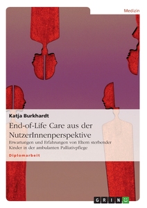 预售 按需印刷End-of-Life Care aus der NutzerInnenperspektive德语ger