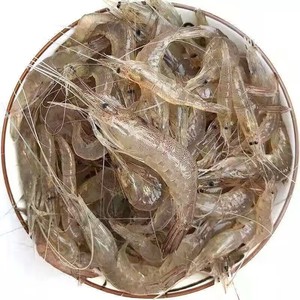 海白虾海水自然生长冷冻发货可油炸干煸烧汤