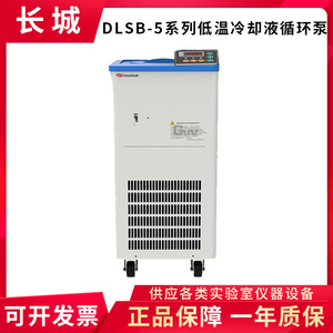 郑州长城科工贸 DLSB-5/10 DLSB-5/20C 低温冷却液循环泵 制冷泵
