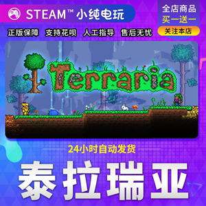 steam正版PC中文游戏 Terraria 泰拉瑞亚 国区礼物  在线入库